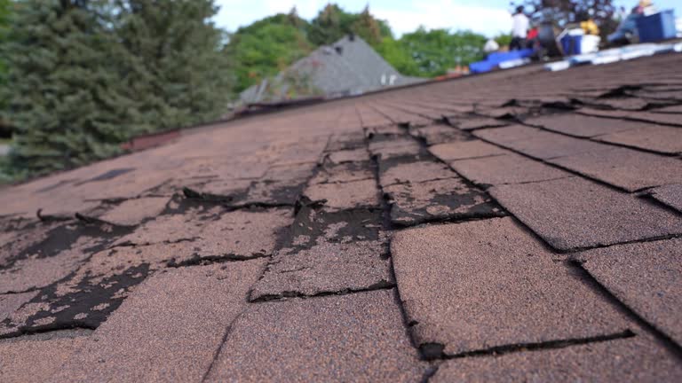 , USA Roofing Pros